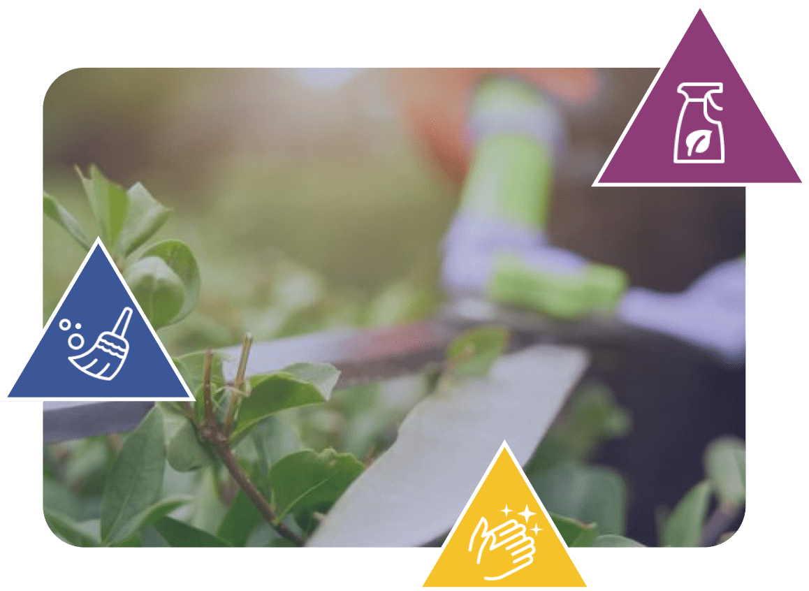 garden cleaning services