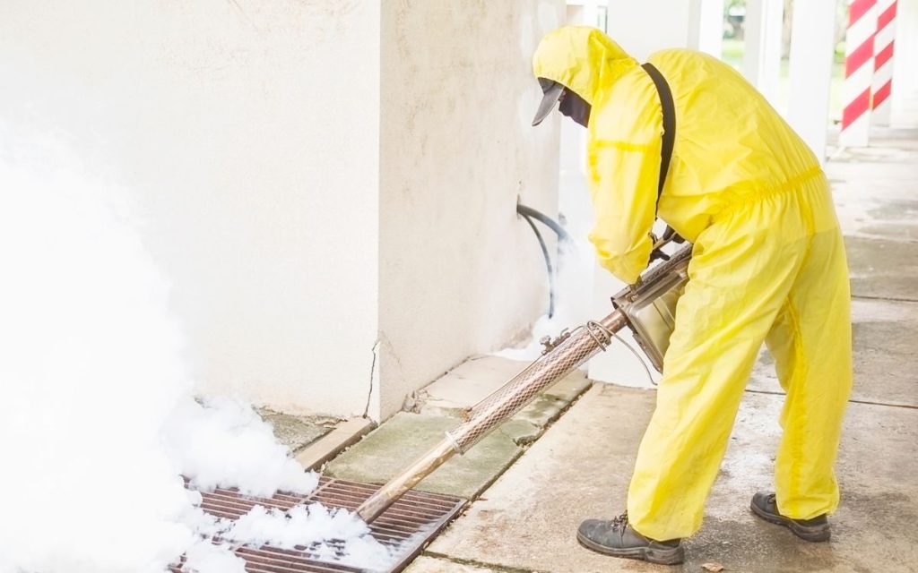 cockroach fumigation