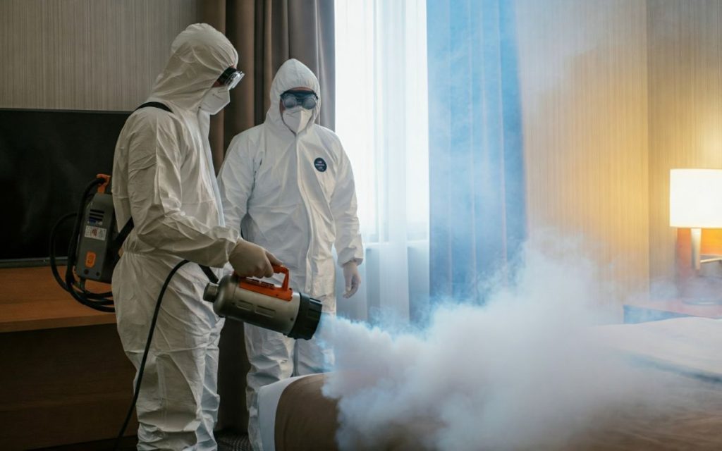 early signs of bed bugs
