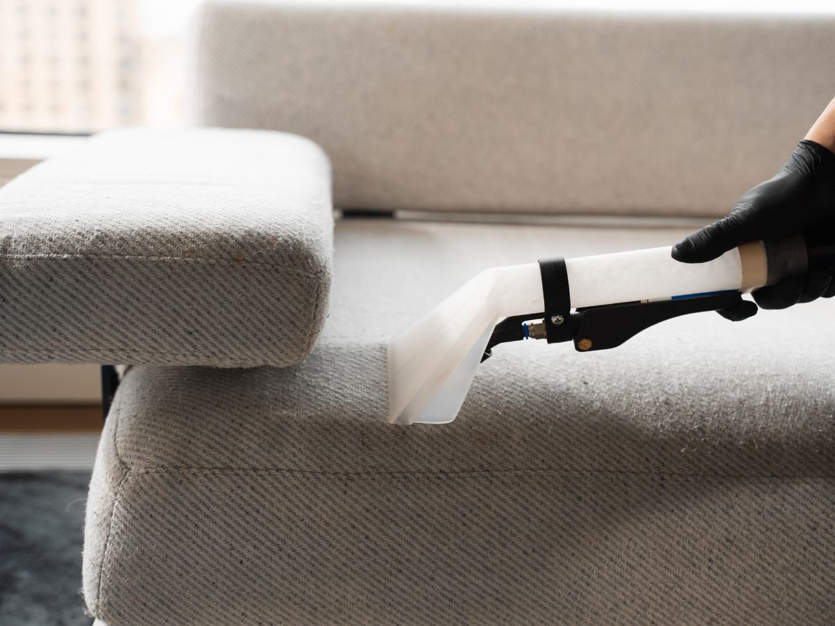 upholstery cleaning cape town