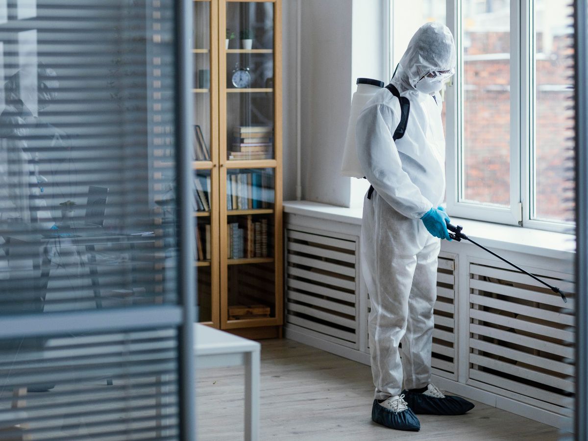 fumigation services cape town