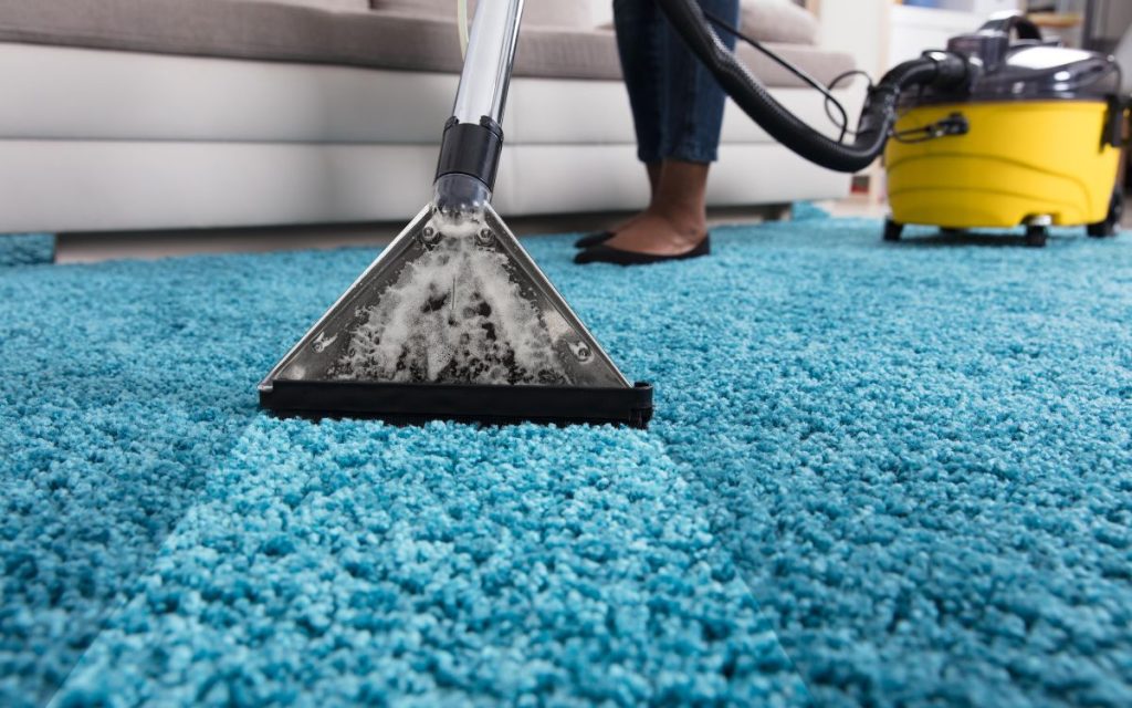 professional carpet cleaning