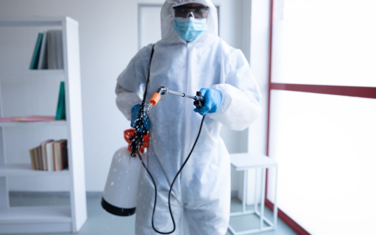 pest control cape town